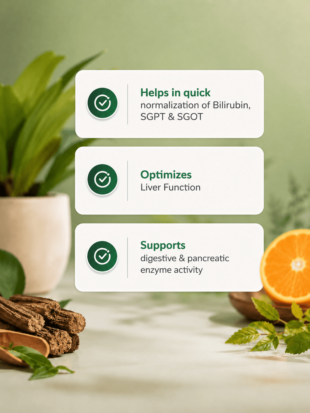 LIVONSS DS Liver Syrup | Herbal Liver Health Supplement — image 2